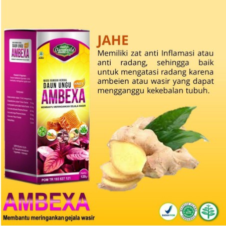 [ TERAMPUH ] Madu Ambeien Dan Madu Ambeyen AMBEXA Darusyifa Ekstrak Daun Ungu Obat Wasir Alami