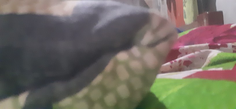 Couple Batik Seragam Kantor Motif Terbaru Termurah Di Shopee