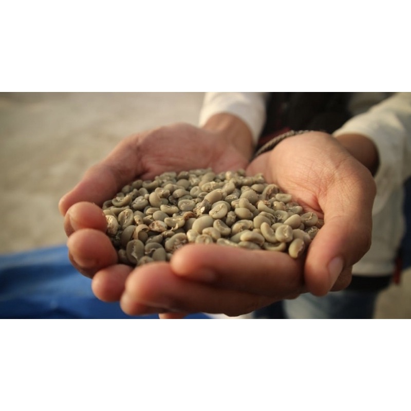 

Greenbean Kopi kerinci
