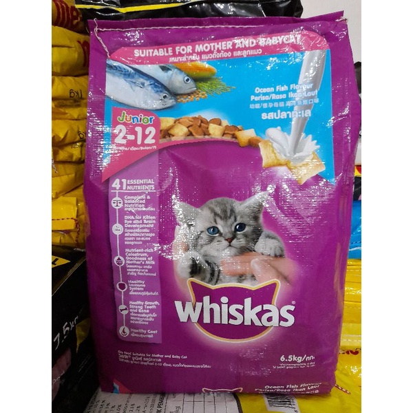 Makanan Kucing Whiskas Junior Oceanfish 6,5 kg- Makanan Kucing Whiskas