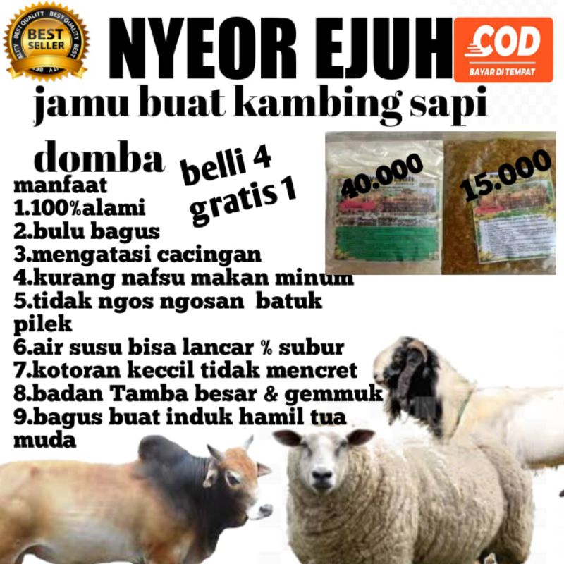 jamu alami nyeor ejuh vitamin super josss untuk sapi dan kambing
