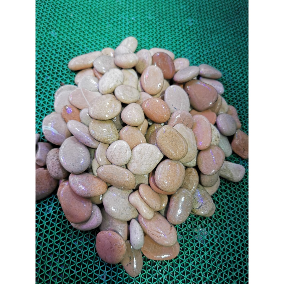 BATU KORAL PINK KUPANG 1KG batu taman batu aquarium dekorasi taman