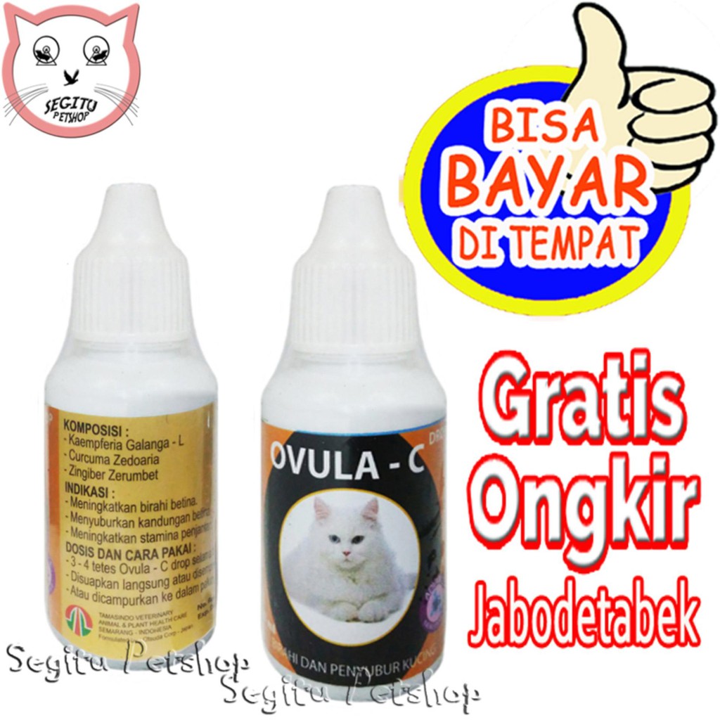 OBAT KUCING JANTAN DAN BETINA OVULA C PENYUBUR KUCING