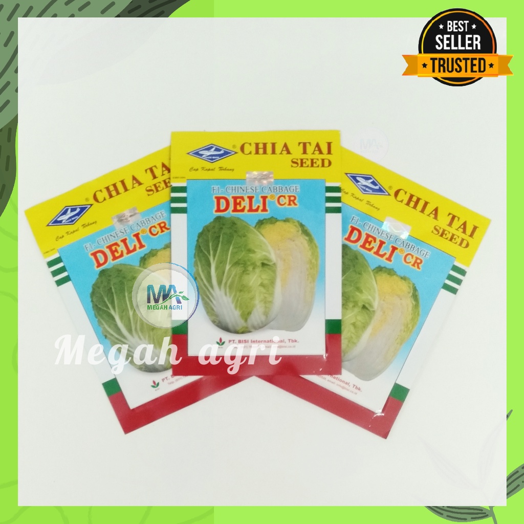BENIH SAWI PUTIH DELI 10GR