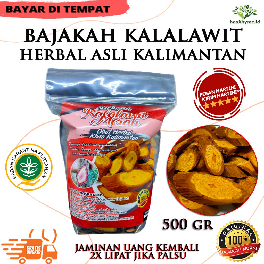 

Akar Bajakah Merah Kalalawit / Akar Kayu Bajakah Super Asli Kalimantan - 500 GR