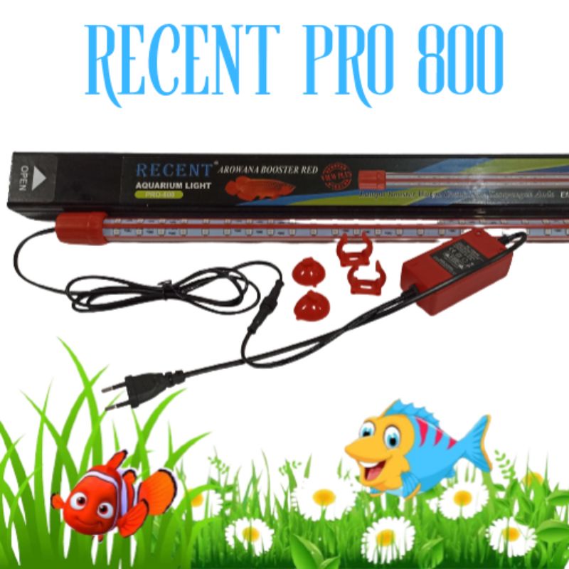 RECENT PRO 800 Lampu arowana view booster red arowana