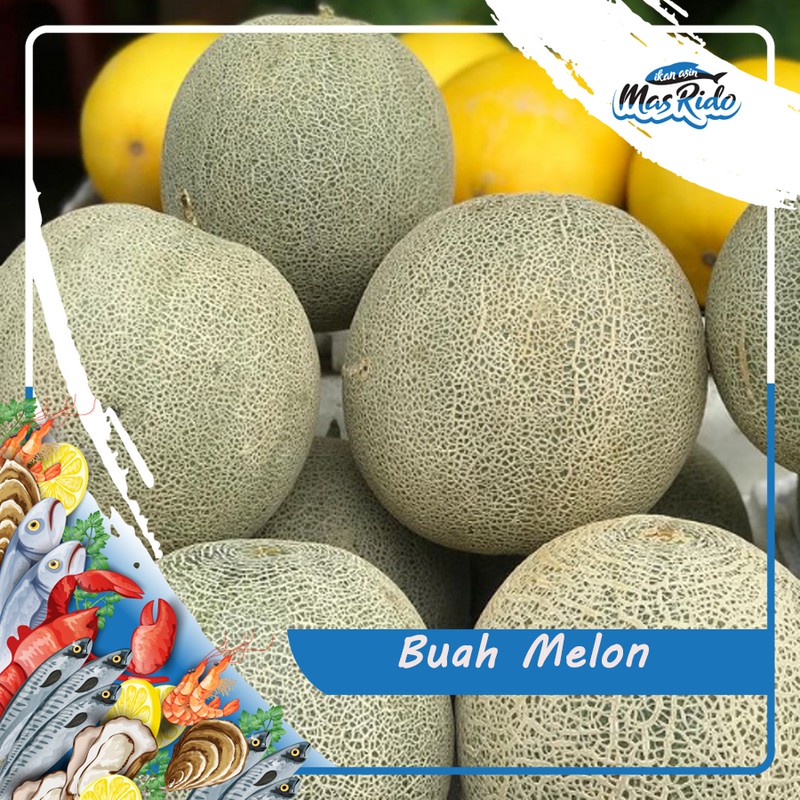 

Buah Melon Super Manis Segar Kwalitas Super Harga Murah