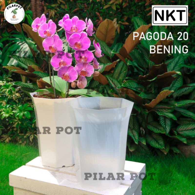 Pot bunga tanaman nkt pagoda 20 bening transparan - PAGODA 20 BENING