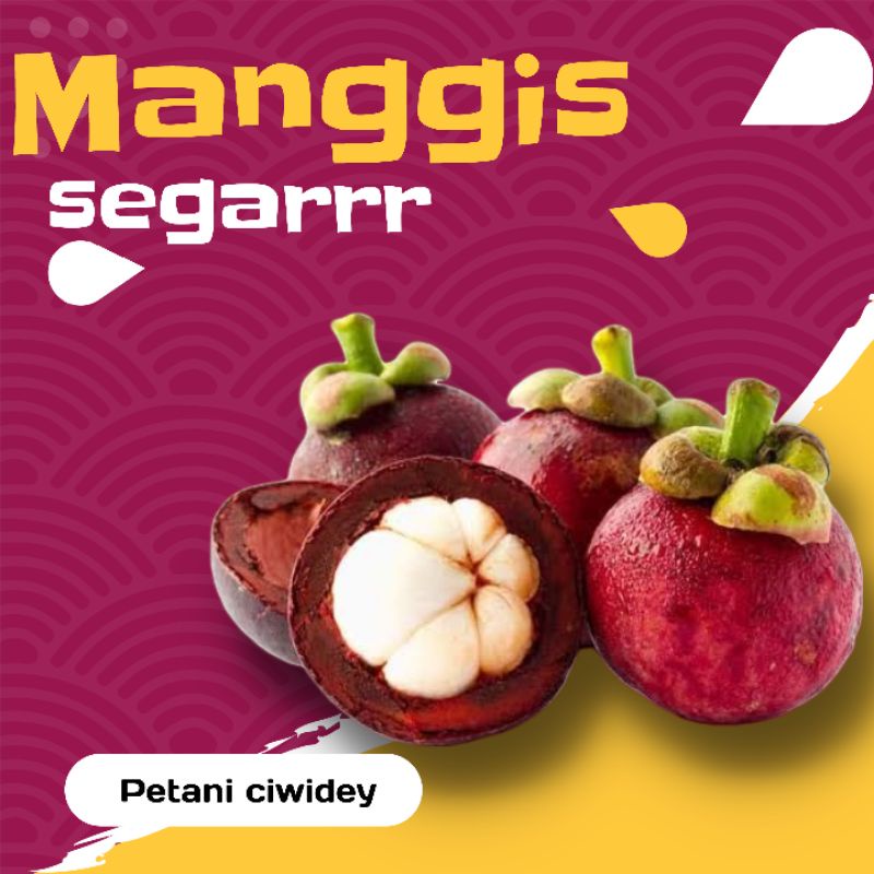 

Buah manggis 1 kg manis