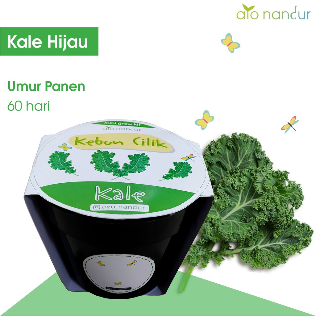 Gardening Kit - Benih Kale
