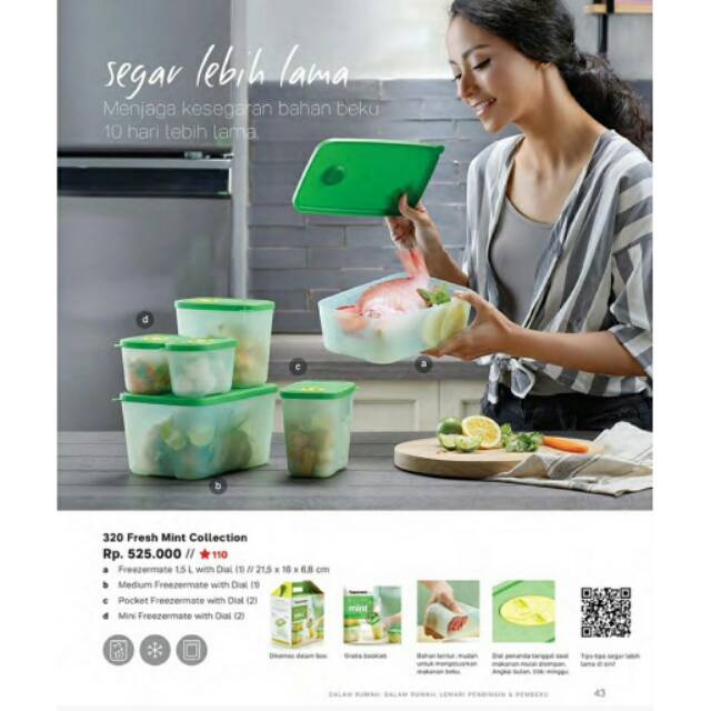 Tupperware Fresh Mint