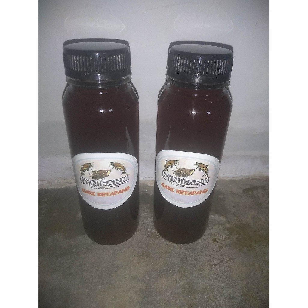 

Ekstrak Daun Ketapang