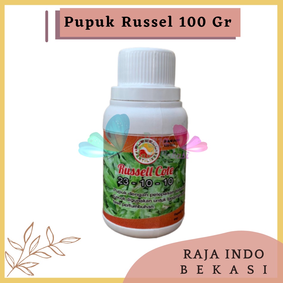 Pupuk Russell Cote Slow Release 23-10-10 100 Gr Pupuk Osmocote 23-10-10 Aglonema Monstera, dan Tanaman masa vegetatif Pupuk Slow Release Original Untuk Sawit Thailan Dus Bonsai - Russell Cote Slow Release 23-10-10 Pupuk Osmocote 23-10-10 Aglonema dll