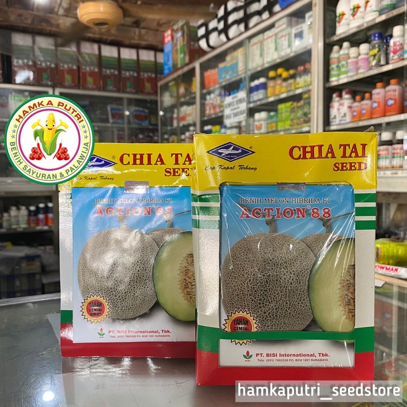 Melon Hibrida Action 88 (buy 3 get 1 Tshirt)