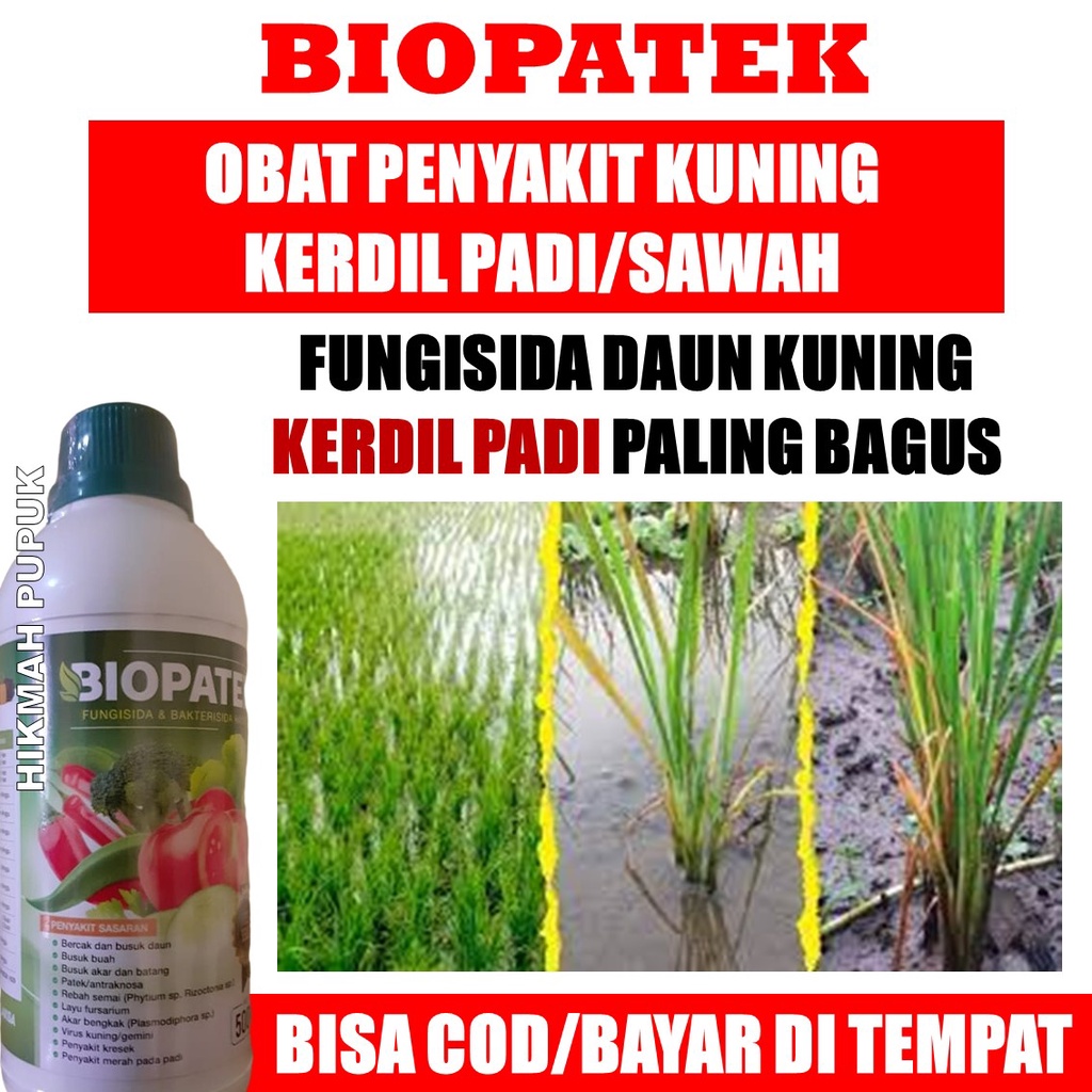 (Promo COD) Pupuk Semprot Kuning Kerdil Rumput Tanaman Padi Isi 500 ML BIOPATEK, Obat Organik Cair P