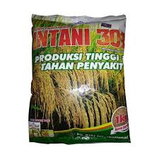 BENIH PADI HIBRIDA INTANI 301 KEMASAN 1 KG