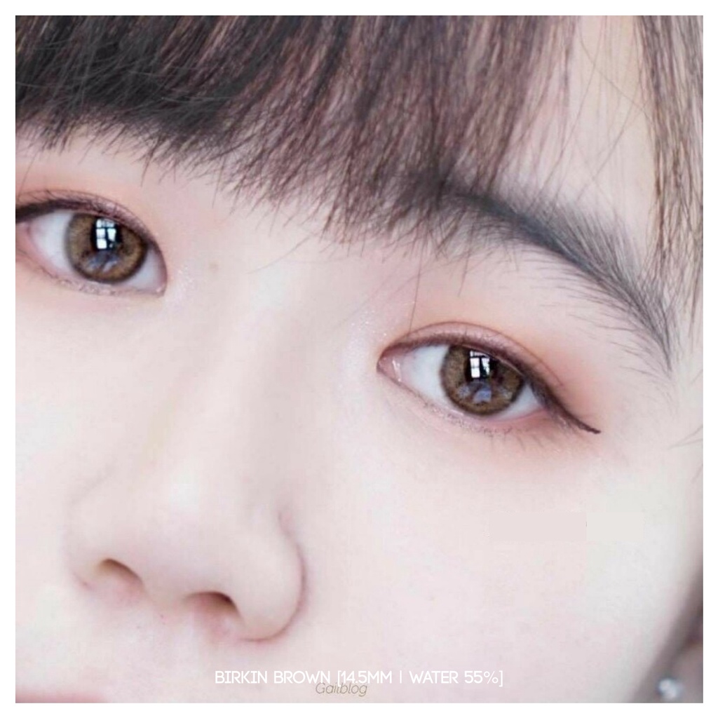 MIKHAYLOVESHOP Softlens Birkin Brown | Kittykawaii