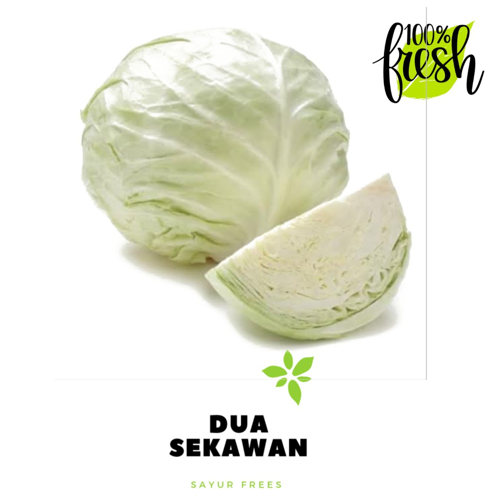 

Dua Sekawan | kol / kubis 1/2 buah