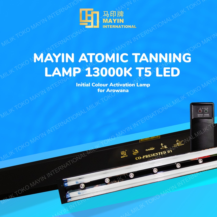 MAYIN Atomic Tanning Lamp 13000 K T5 LED Lampu Aquarium Ikan Arwana Noasis