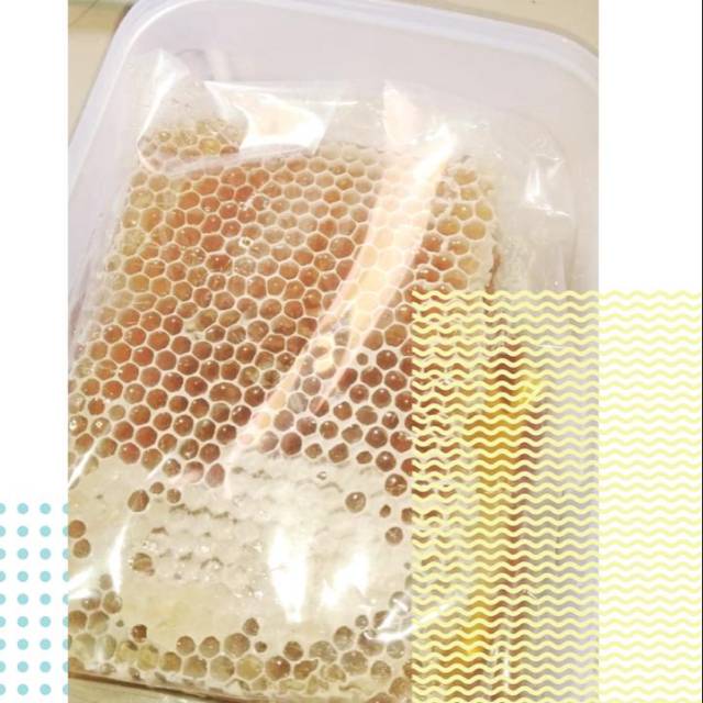 

Madu sarang lebah asli super murah murni original hutan mellifera