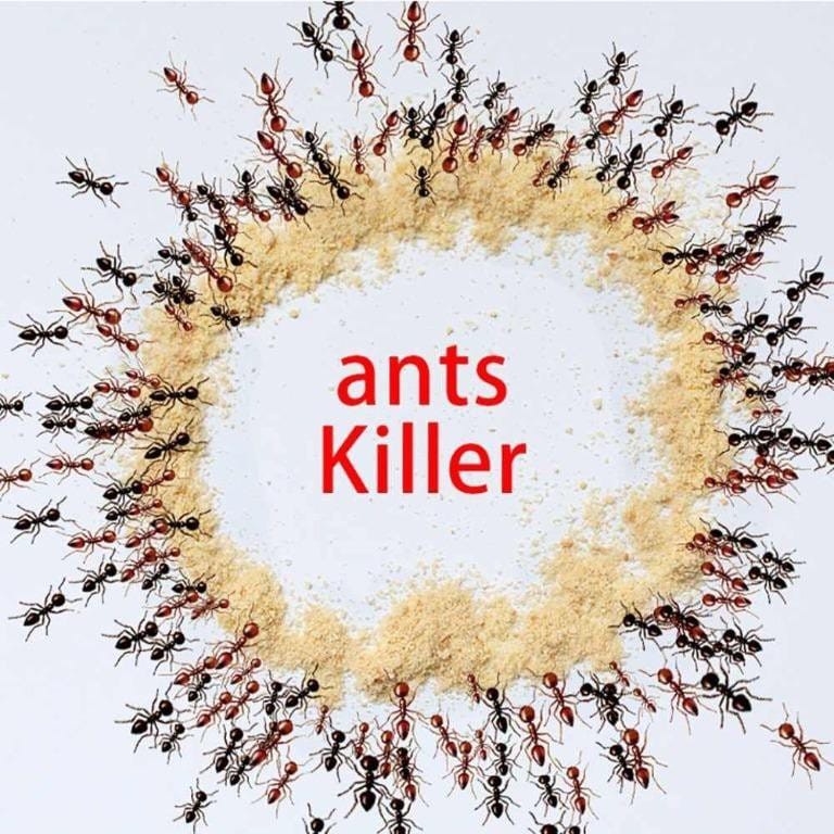 [MURAH]Pembasmi Semut/Racun Bubuk Semut/ Killing Bait Powder Serbuk /Obat Pembasmi Sarang Semut /Ants Killer Pest Control [PADMA]