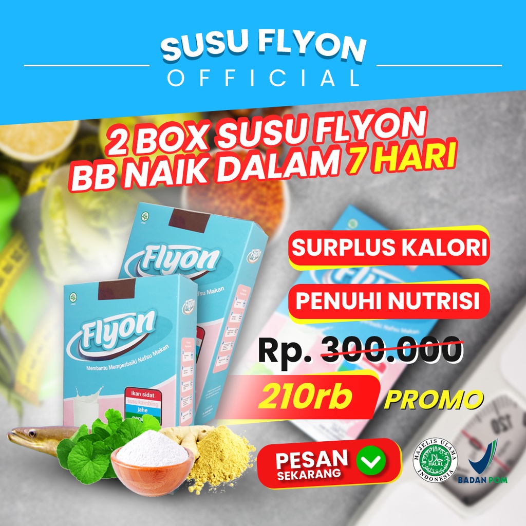 Jual 2 BOX Susu Flyon Susu Penggemuk Badan Vitamin Penggemuk Badan ...