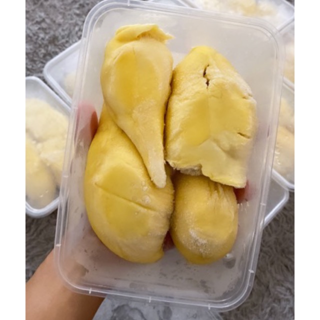 

Durian Montong Premium
