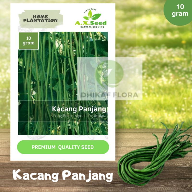 Benih Bibit Kacang Panjang (AX Seed)