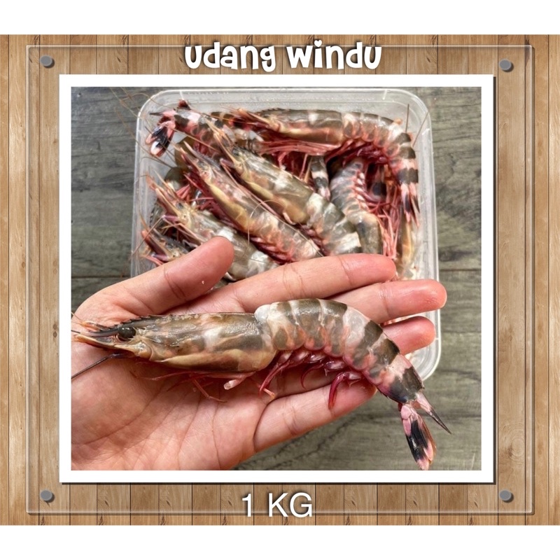 

Udang Windu Laut - Tiger Prawn 1kg saat Beku ( Glazing 20 % )