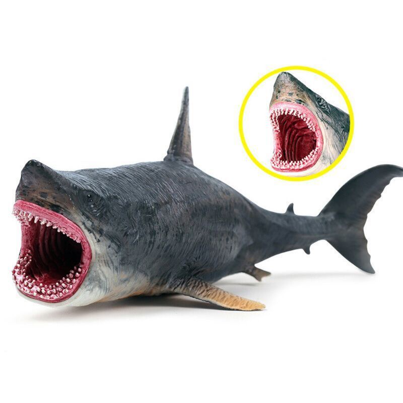 Mary Realistis Megalodon Figurine Mainan Model Hewan Laut Untuk Kolektor Hobi Anak