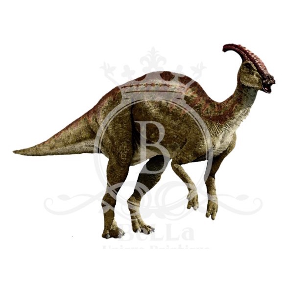 Montana Awesome America Series