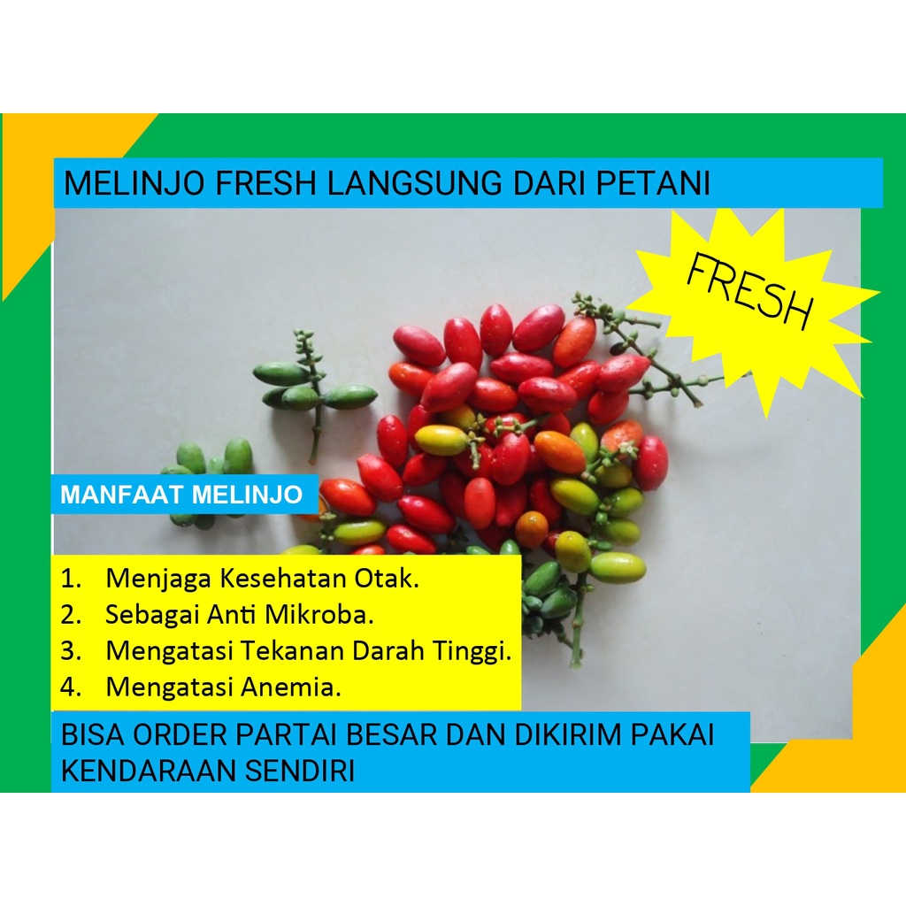

Melinjo Fresh Box Langsung Dari Petani