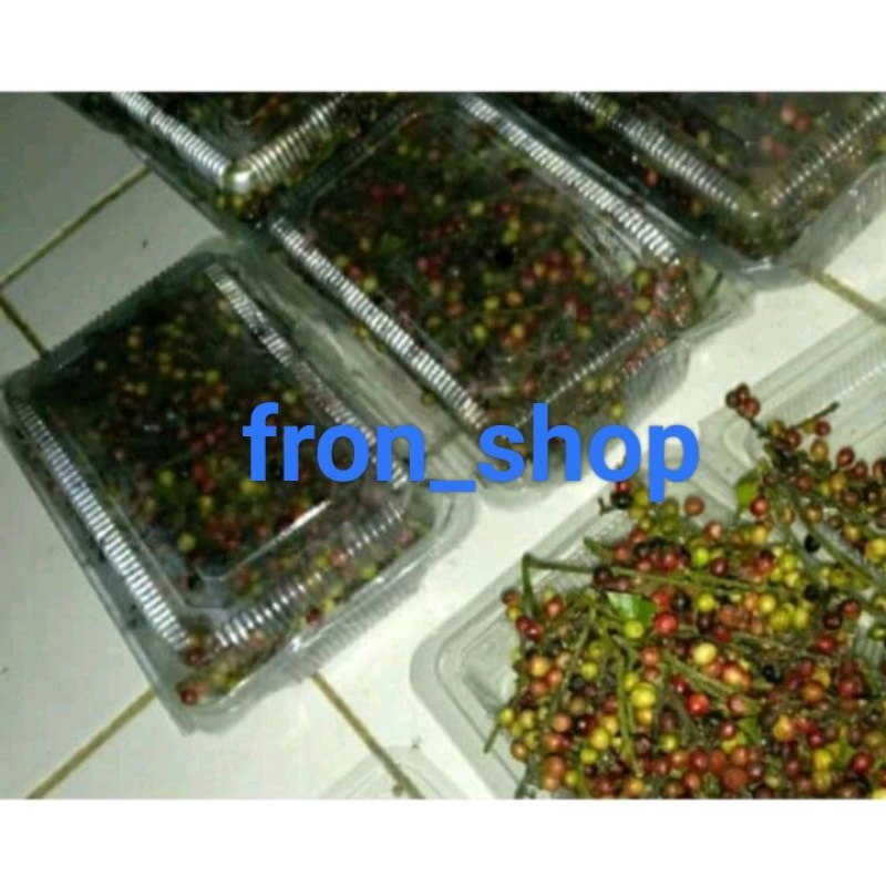 BUAH HUNI BUNI PRESH SEGAR PERPAK