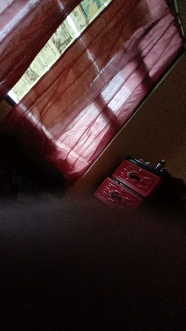 Blender Kapsul Serbaguna / Blender Capsule Cutter Quatre Good Product