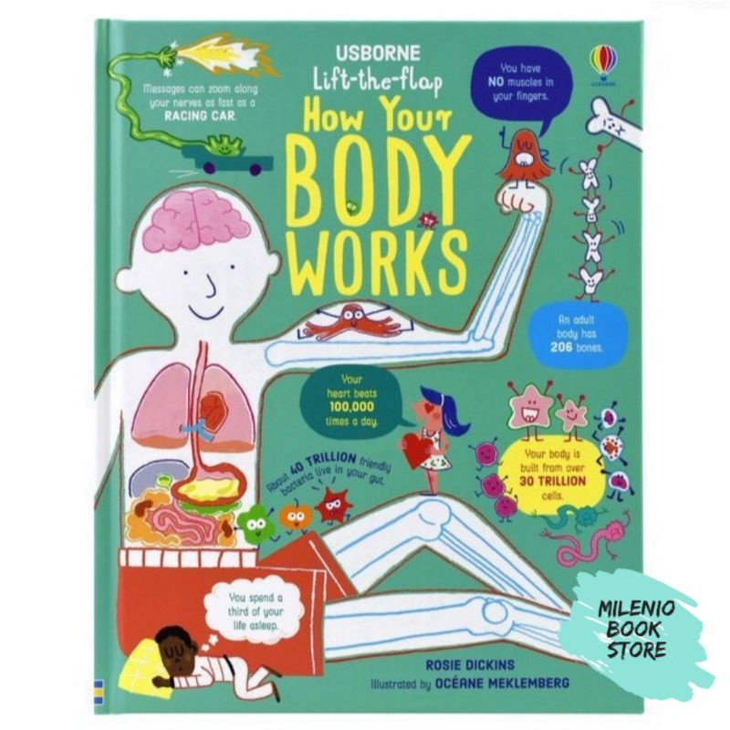 Usborne Lift The Flap How Your Body Works
