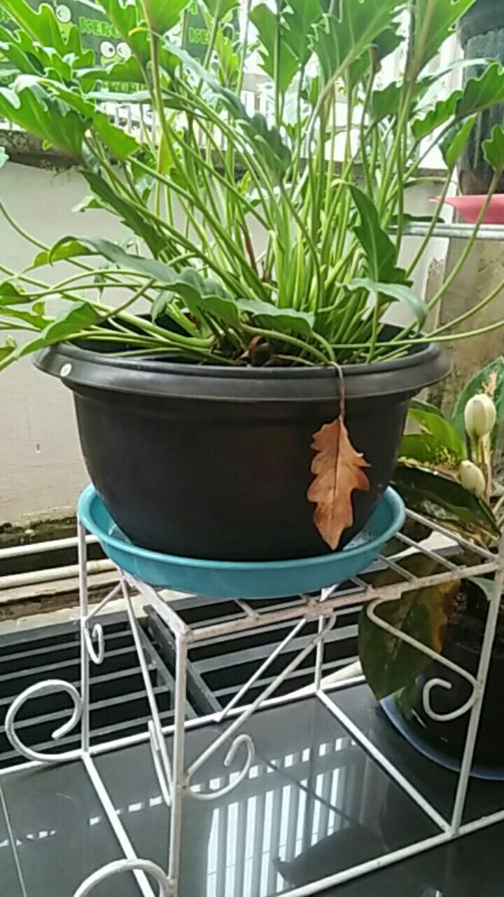 Oxone Black Marble Knife Set Ox-605 Pisau Set 100% Original