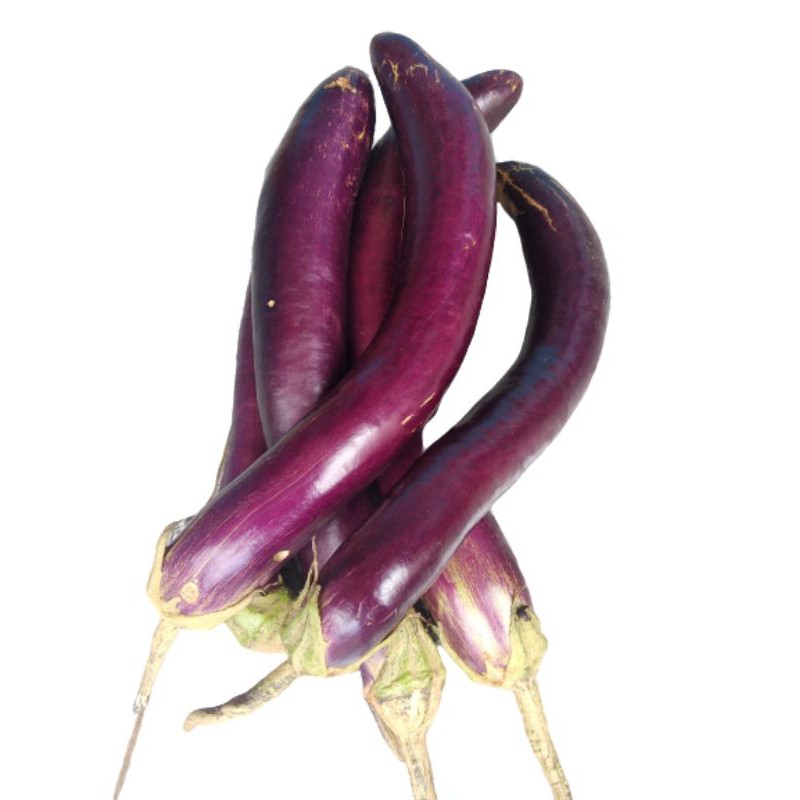 

TERONG UNGU 5KG