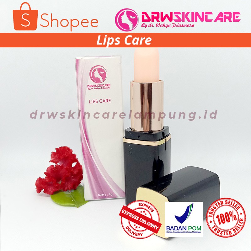Lips Care - Lipstik Pelembab Bibir Klinik Drw Skincare 100% Original Bpom
