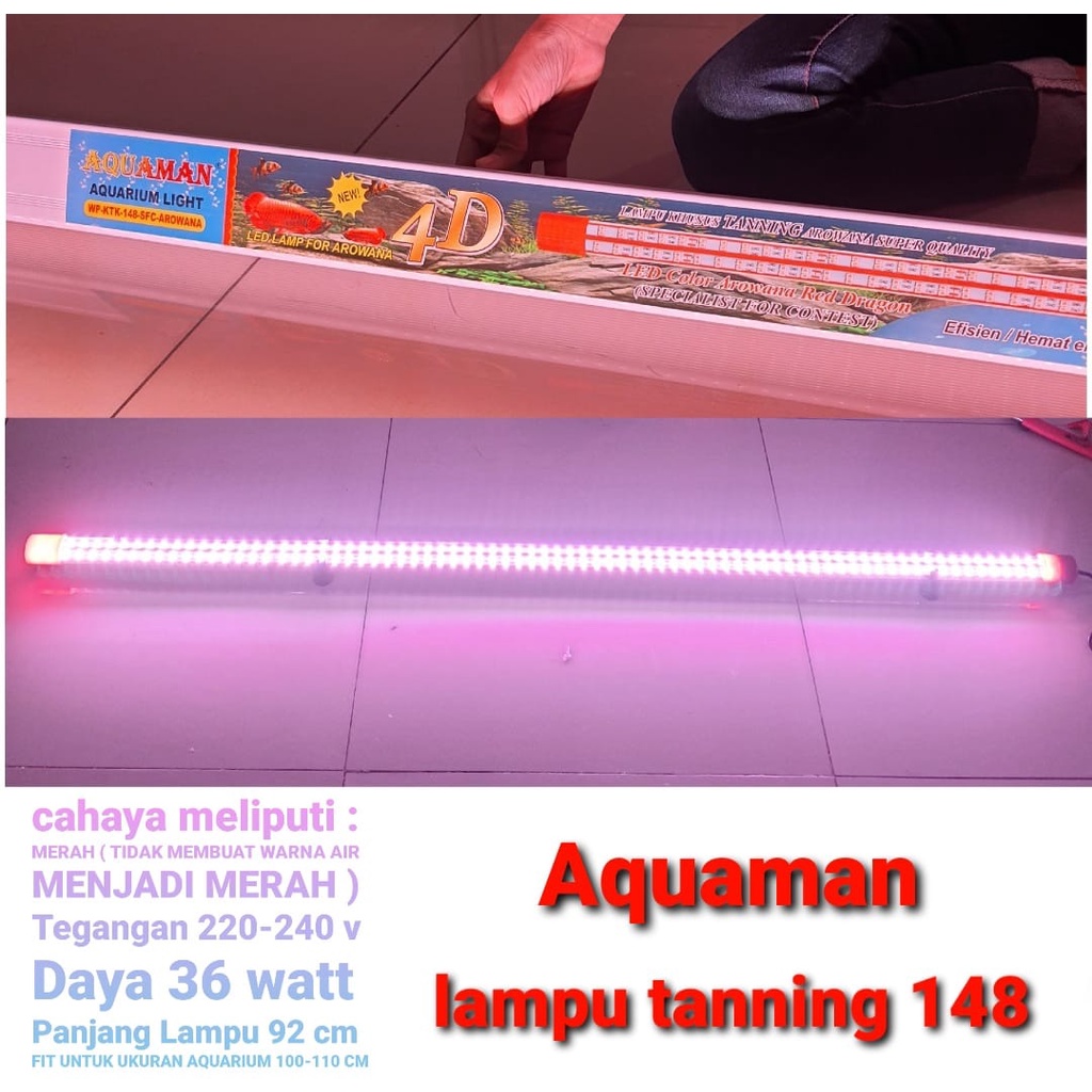 lampu tanning aquarium arwana lampu tanning aquaman Special kontes