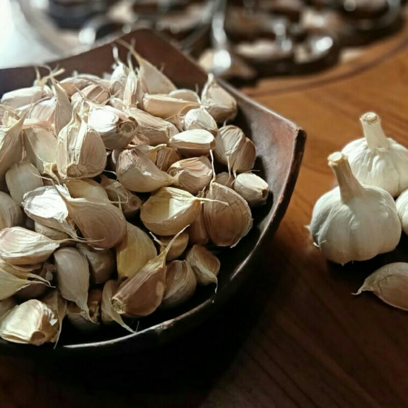 

Bawang Putih Kating