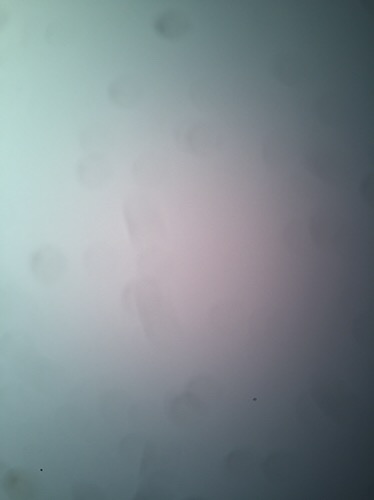 Kj !! Box Kotak Perhiasan / Jewelry Gift Box Bentuk Bulat / Kotak/love 9312/61145/1822