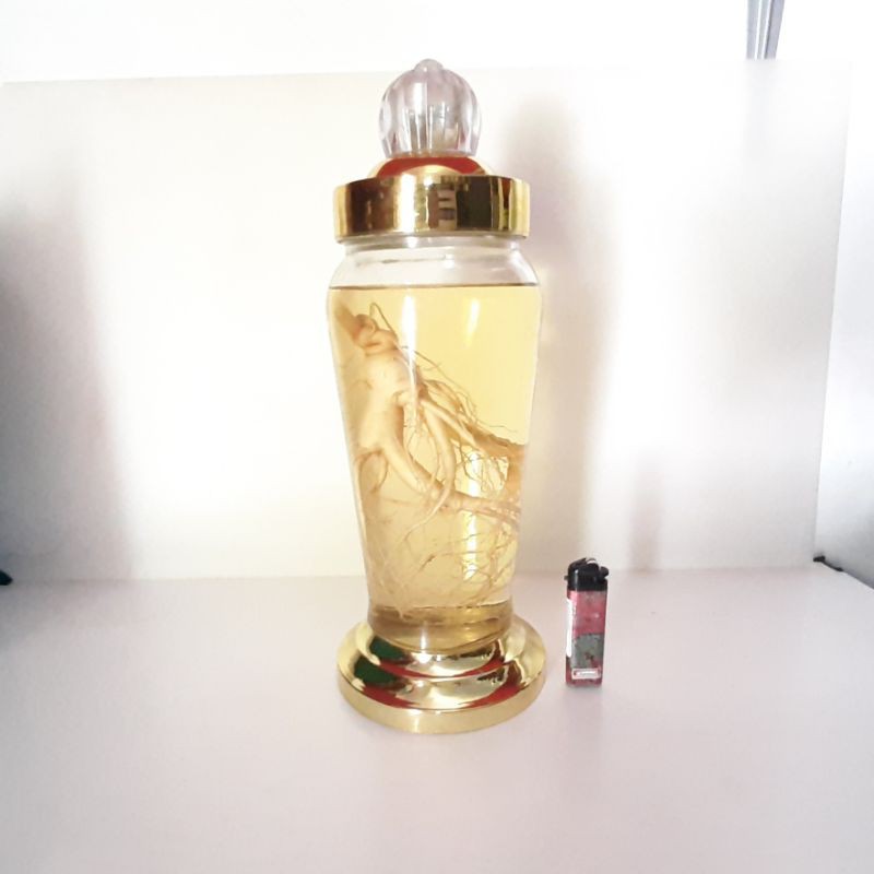 

Akar Ginseng Korea Soju Usia 20th