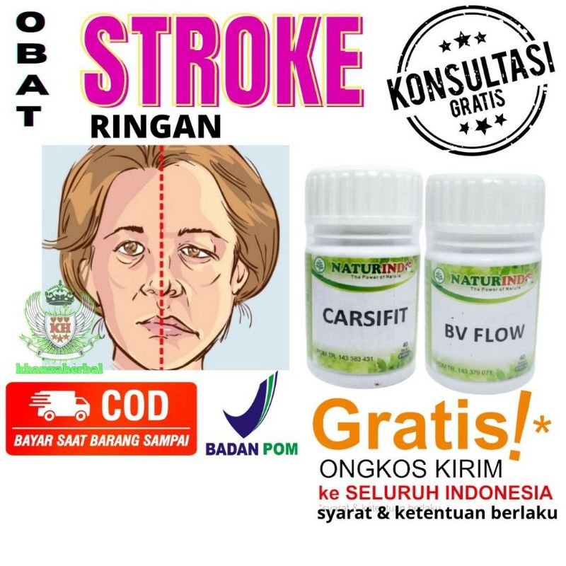 

Obat herbal Stroke strok setrok setruk lumpuh carsifit