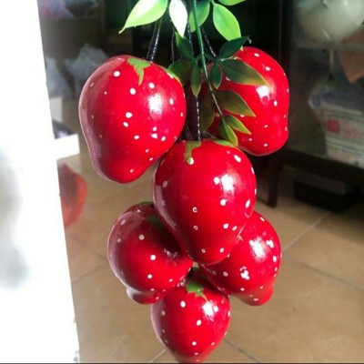 Gantungan Dinding Buah Mitasi (kayu)