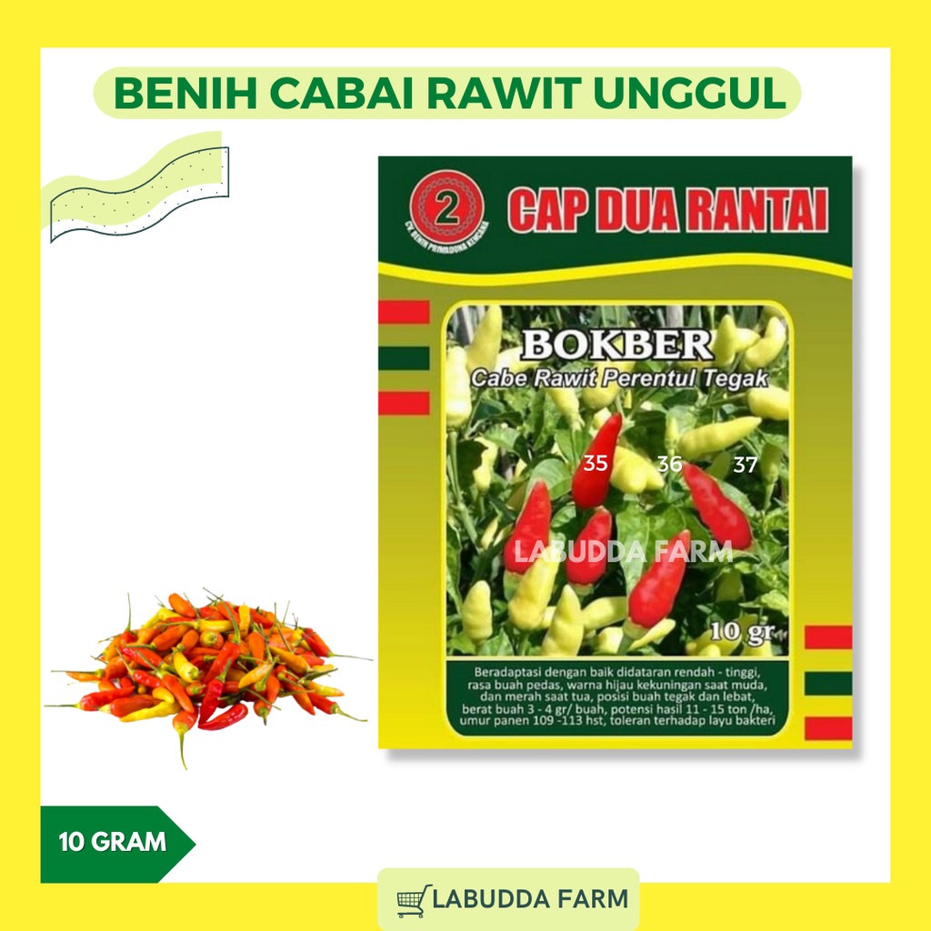 Bibit Cabe Bokber Unggul Kemasan 10gr Original Pabrik Toleran Virus Seperti ORI 212 - Bibit Cabe Raw