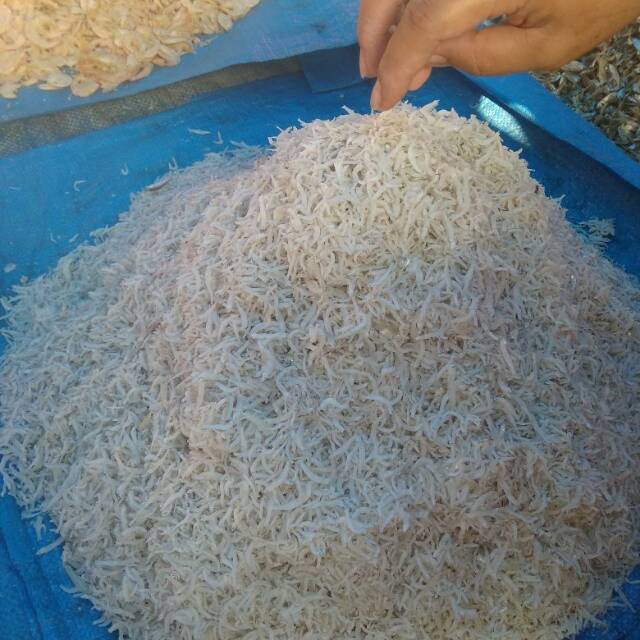 

Ikan teri medan kualitas no 1