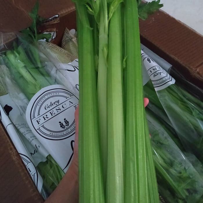

Fresca Celery (Harga per kg)
