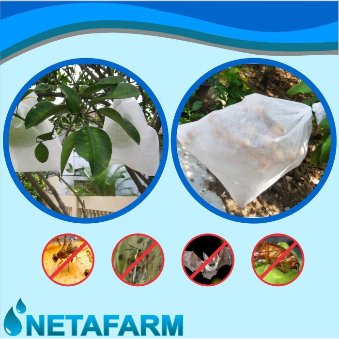 HEIGROW Fruit Cover / Pembungkus Buah Ukuran XXL ( 1 pack = 100 pcs )