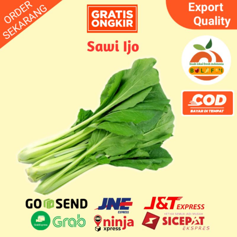 Jual Sayur Sawi Hijau Fresh Sawi Ijo 500gr Shopee Indonesia