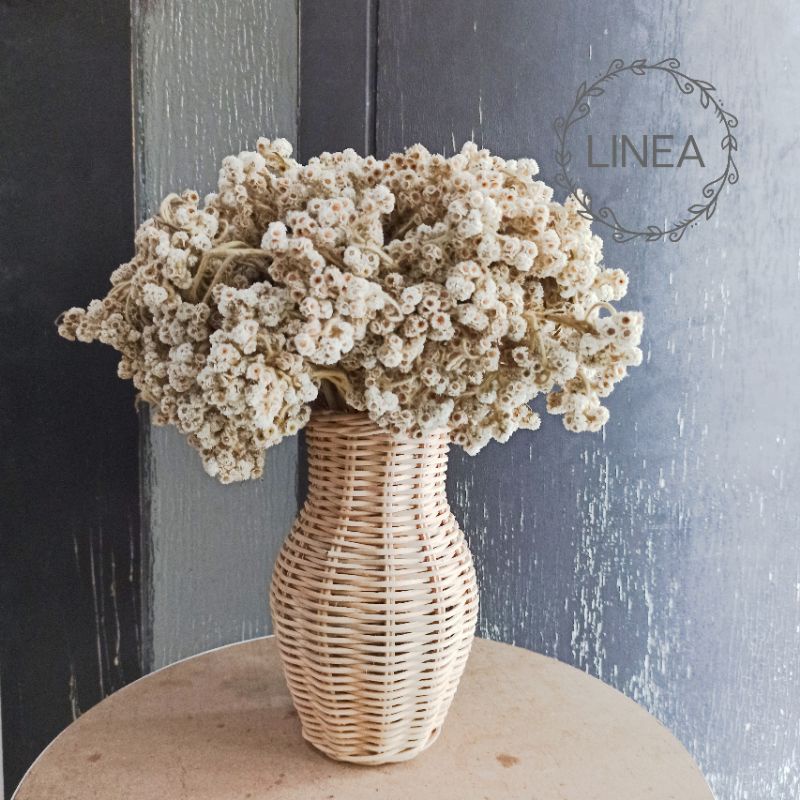 Vas Rotan dan Bunga Edelweiss